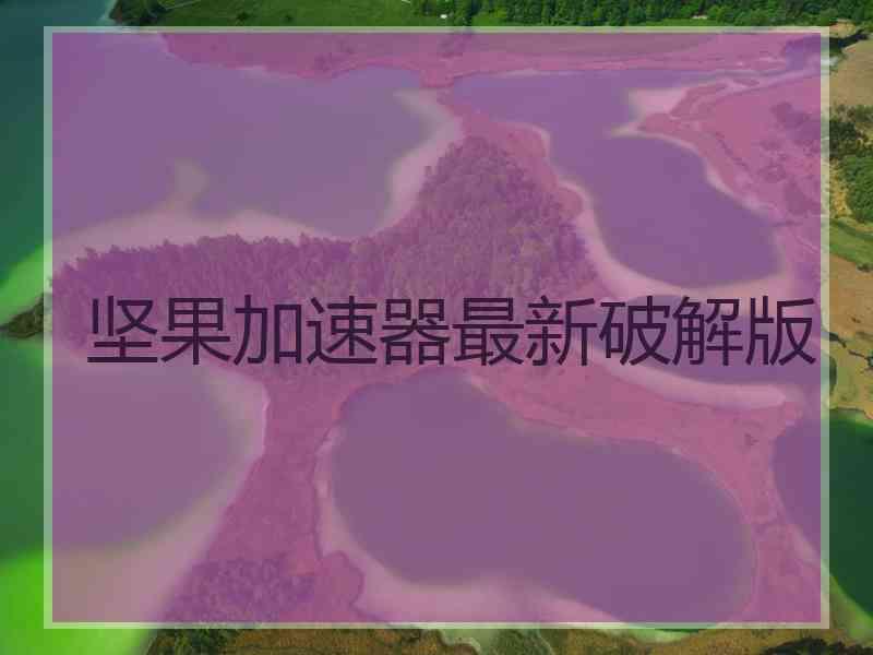 坚果加速器最新破解版