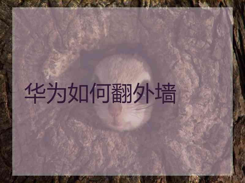 华为如何翻外墙