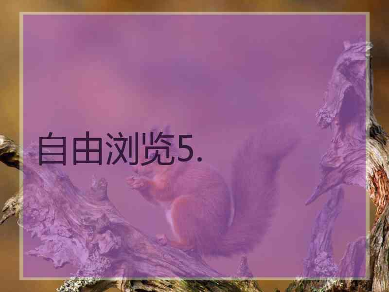 自由浏览5.