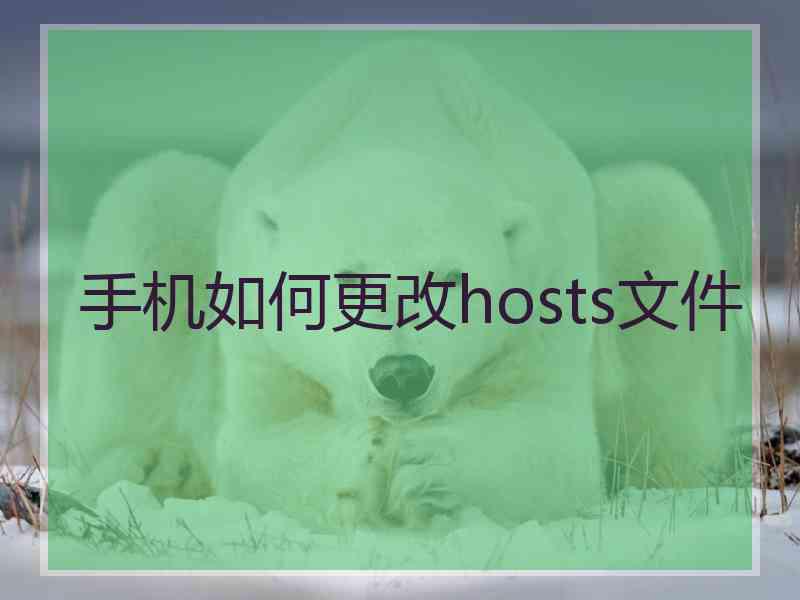 手机如何更改hosts文件