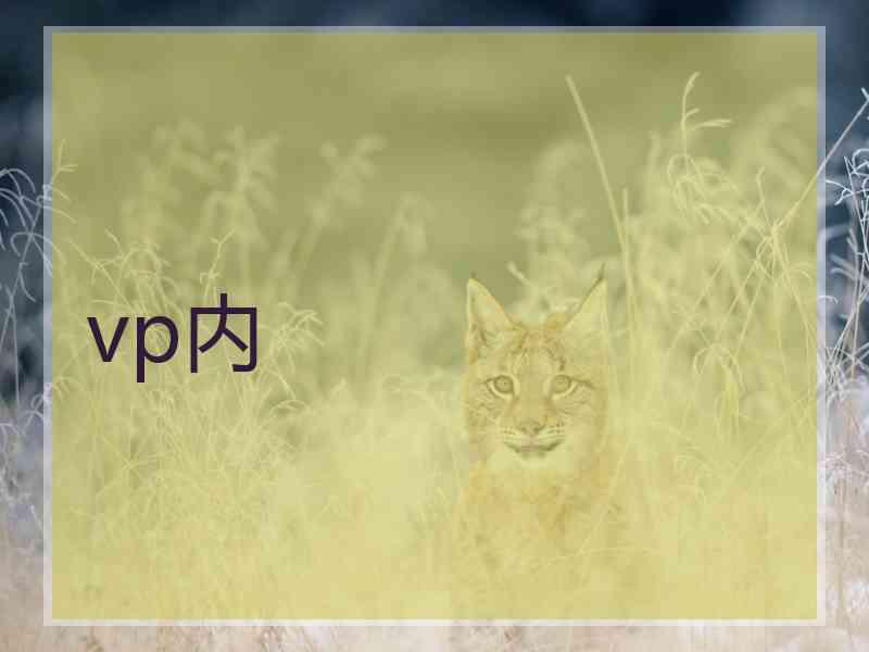 vp内