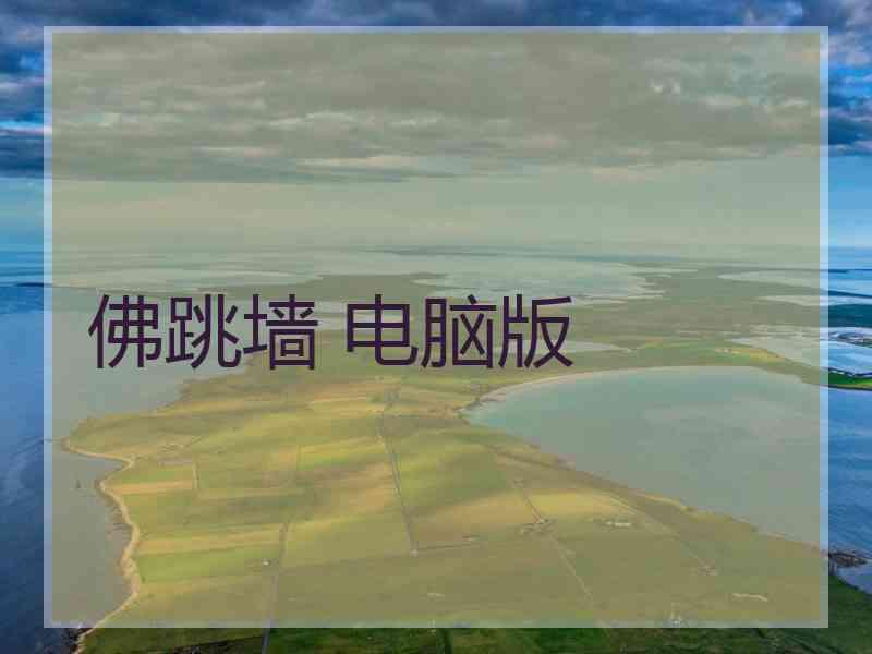佛跳墙 电脑版