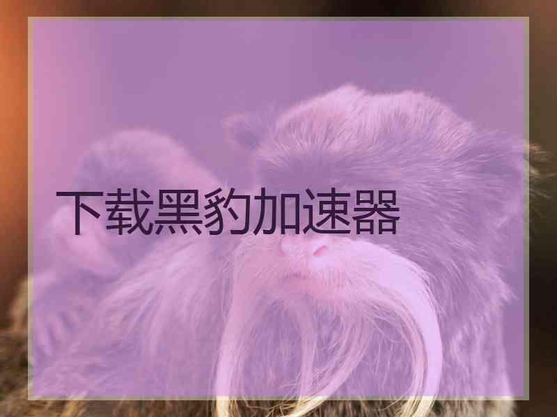 下载黑豹加速器