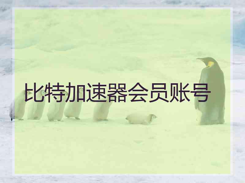 比特加速器会员账号