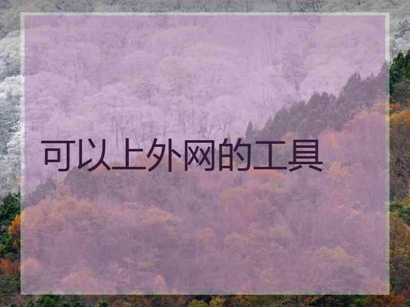 可以上外网的工具