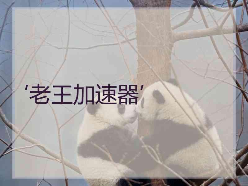 ‘老王加速器’