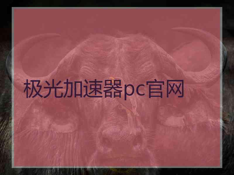 极光加速器pc官网