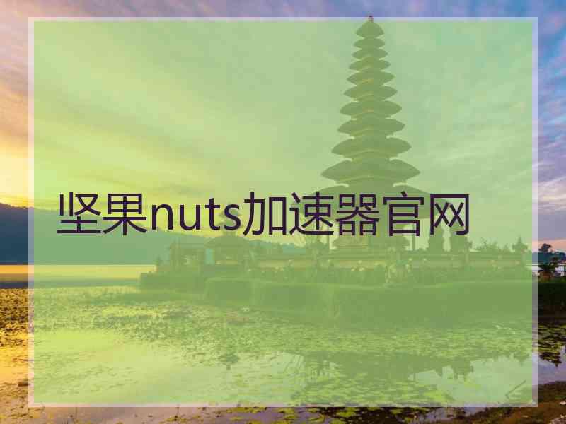 坚果nuts加速器官网