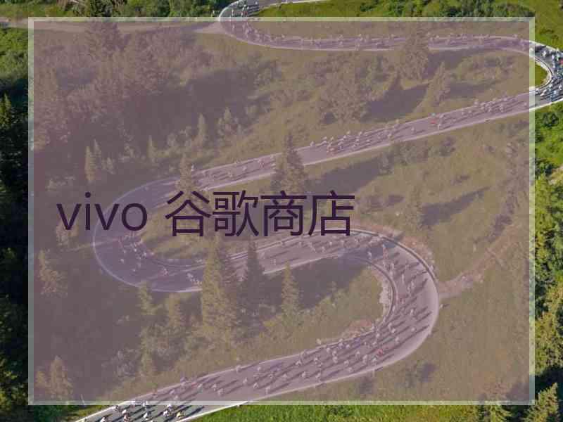 vivo 谷歌商店