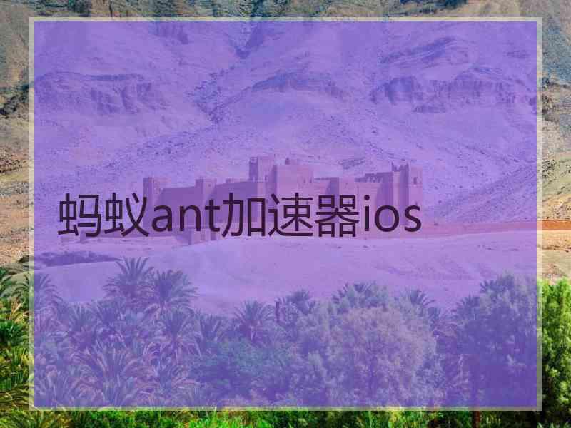 蚂蚁ant加速器ios