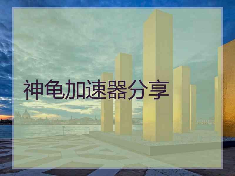 神龟加速器分享