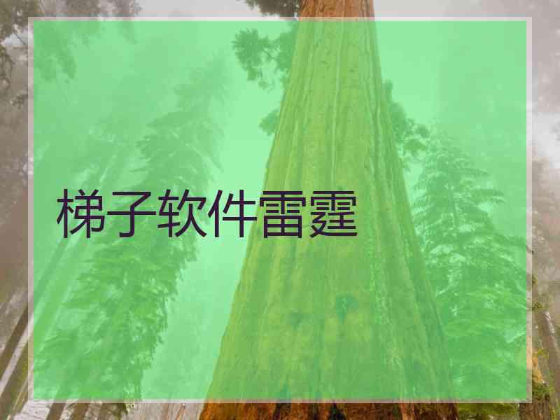 梯子软件雷霆