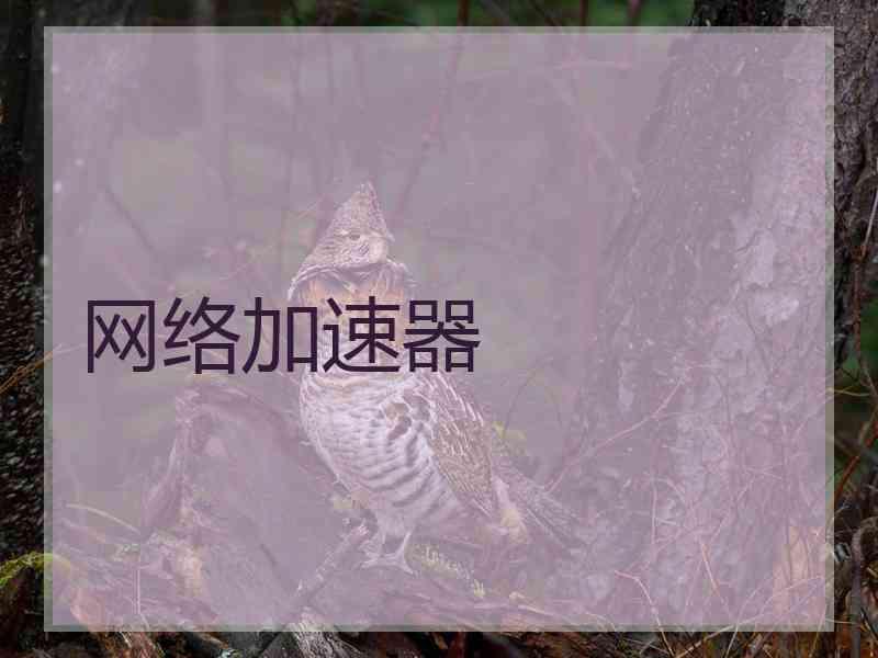 网络加速器