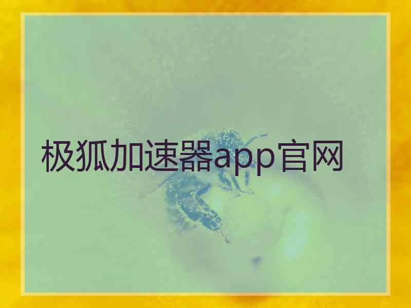 极狐加速器app官网