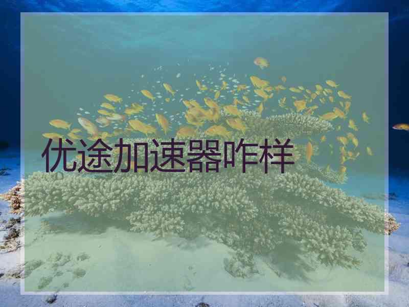 优途加速器咋样