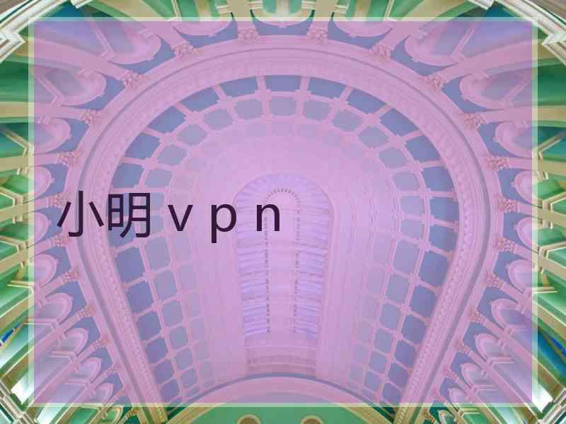 小明 v p n