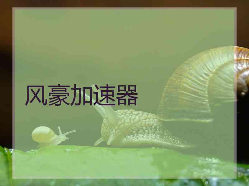 风豪加速器
