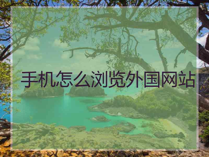 手机怎么浏览外国网站