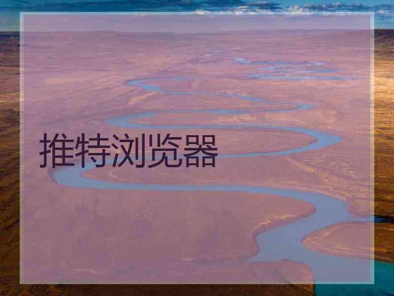 推特浏览器