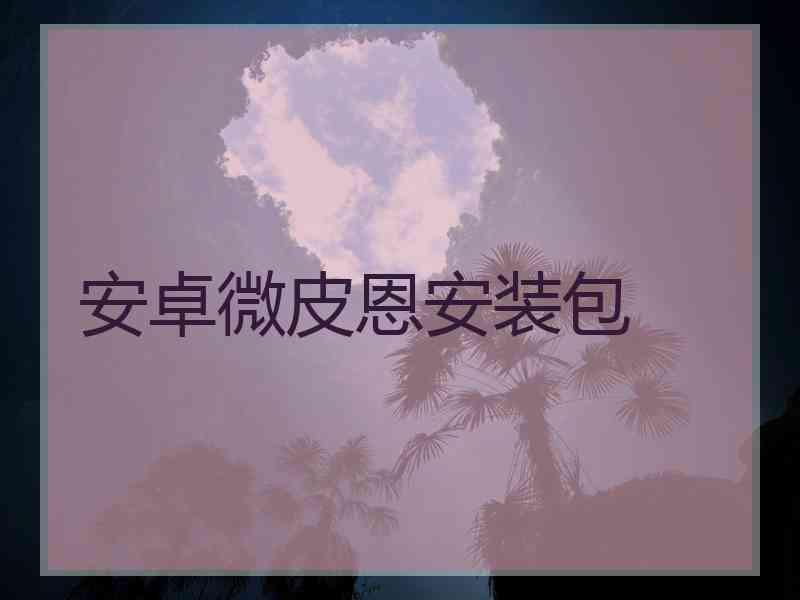 安卓微皮恩安装包