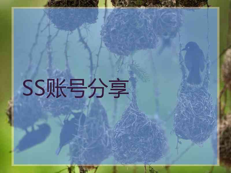 SS账号分享