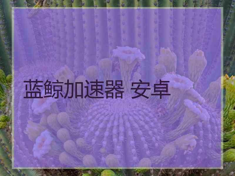 蓝鲸加速器 安卓