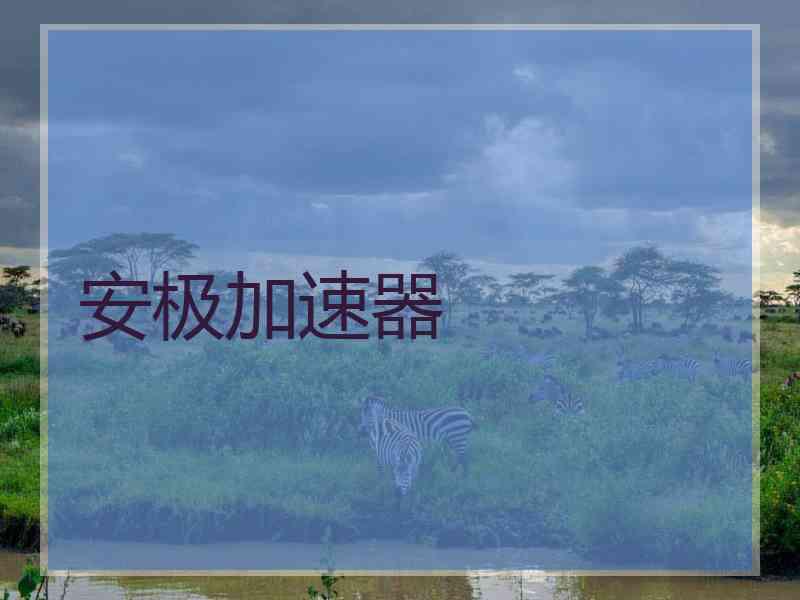 安极加速器