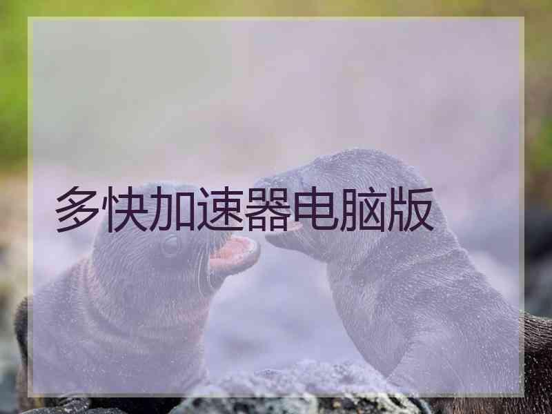 多快加速器电脑版