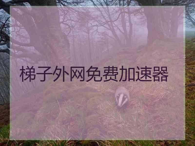 梯子外网免费加速器