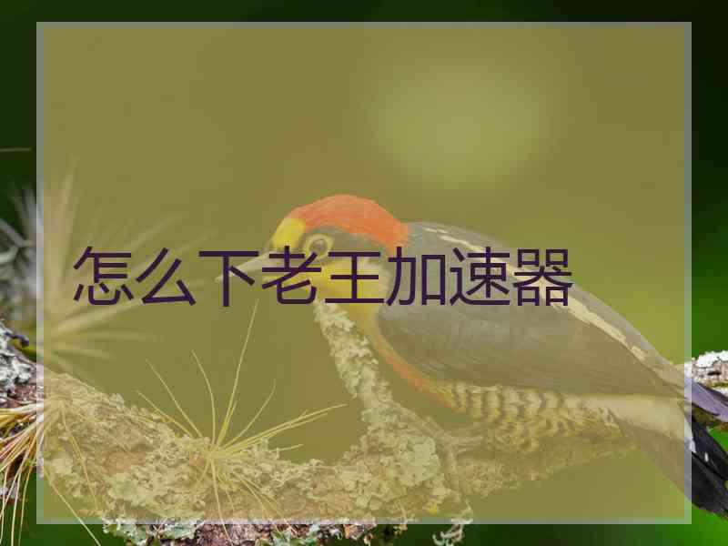 怎么下老王加速器