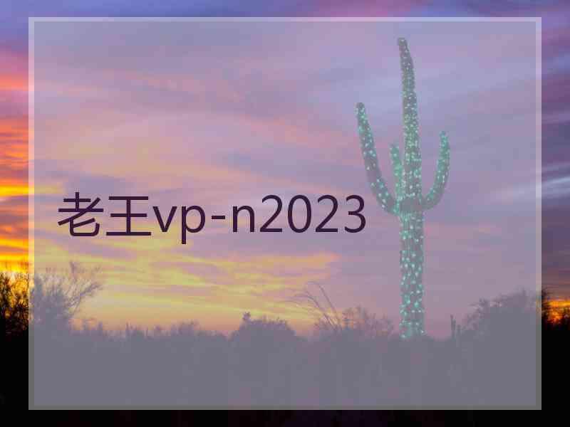 老王vp-n2023