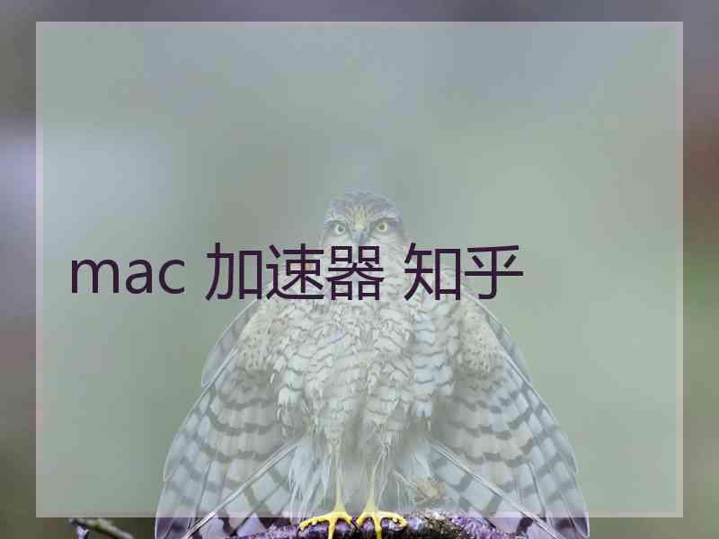 mac 加速器 知乎