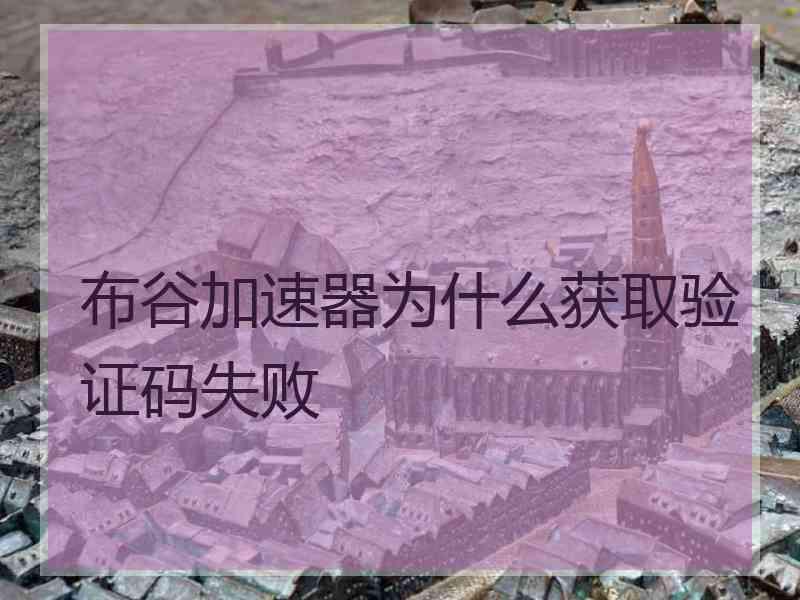 布谷加速器为什么获取验证码失败