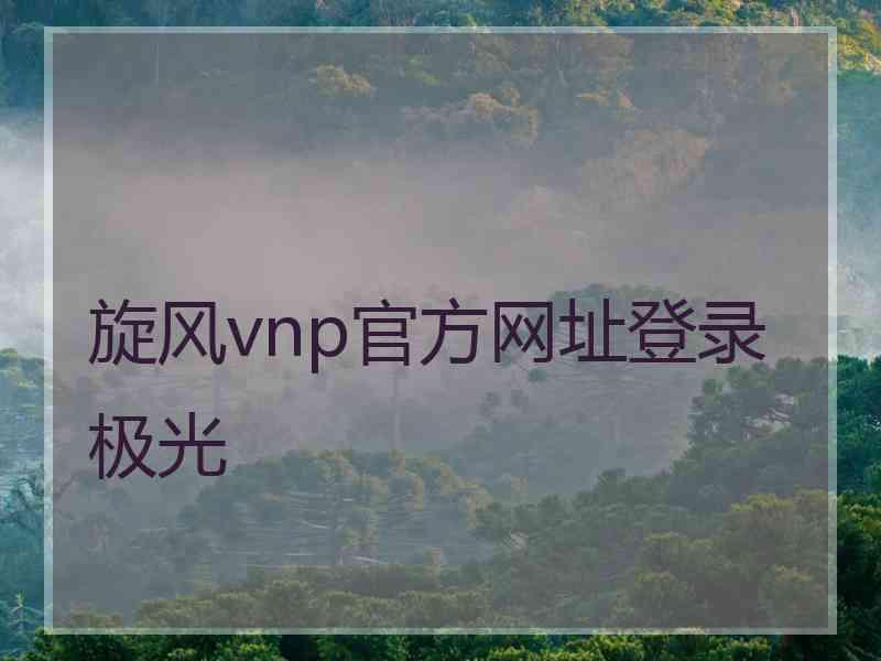 旋风vnp官方网址登录极光