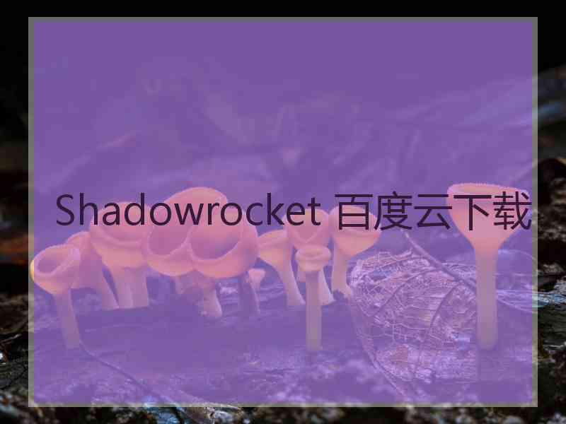 Shadowrocket 百度云下载
