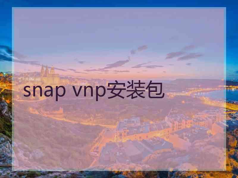 snap vnp安装包