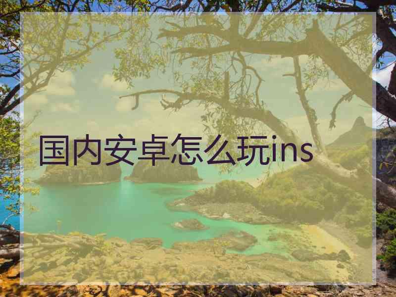 国内安卓怎么玩ins