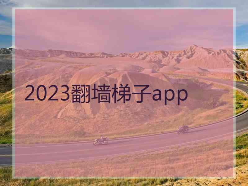 2023翻墙梯子app