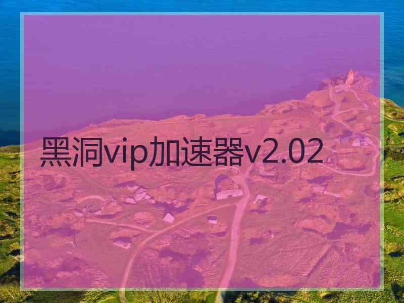 黑洞vip加速器v2.02