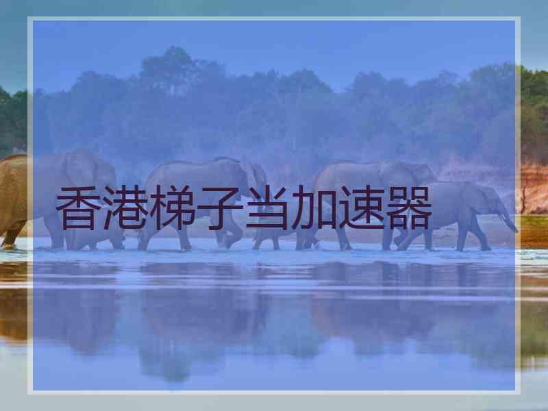 香港梯子当加速器