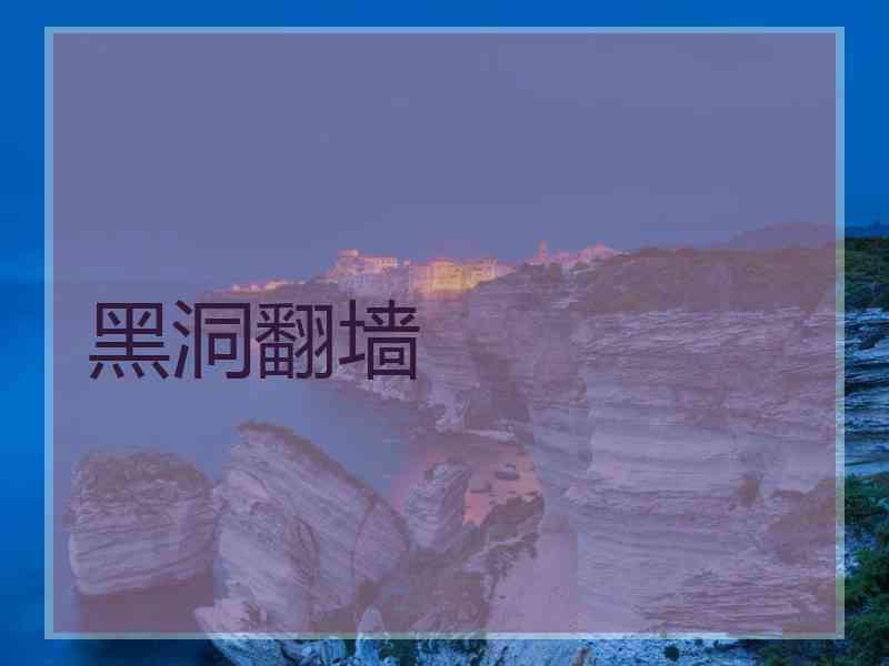 黑洞翻墙