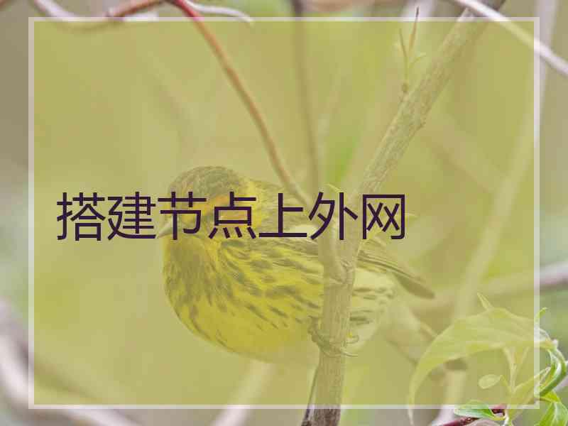 搭建节点上外网