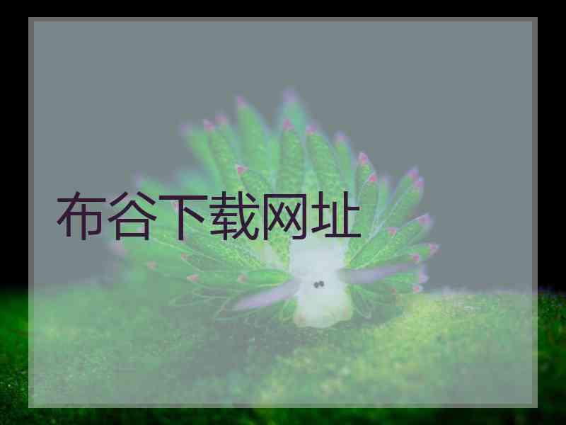 布谷下载网址