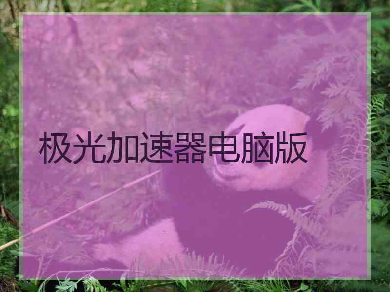 极光加速器电脑版