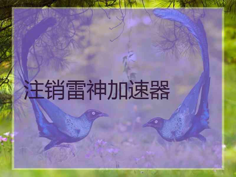 注销雷神加速器