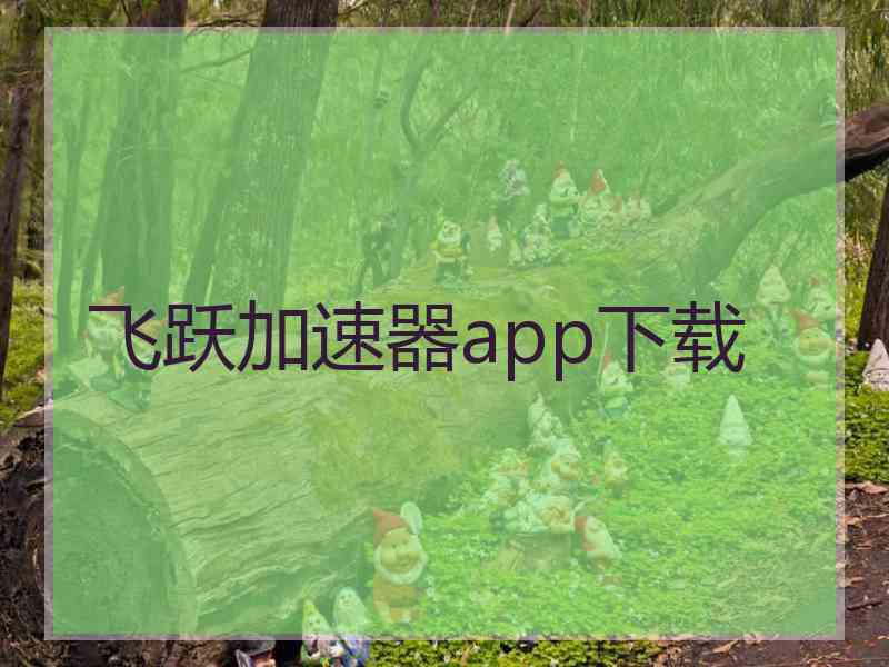 飞跃加速器app下载