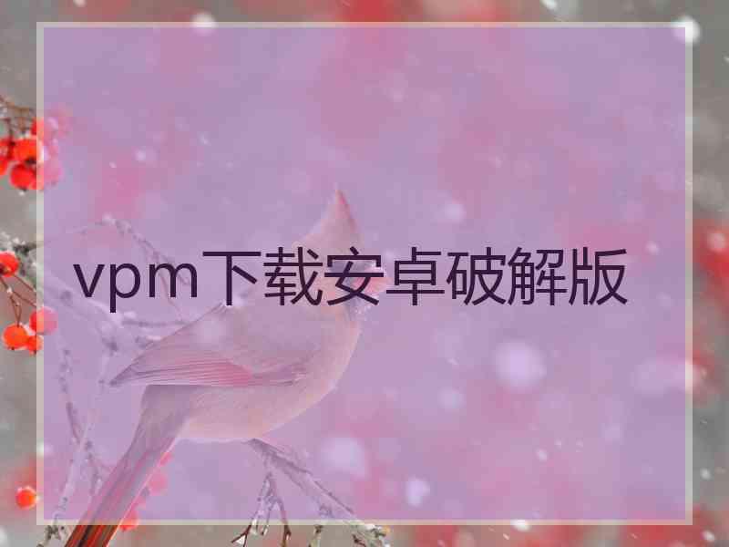 vpm下载安卓破解版