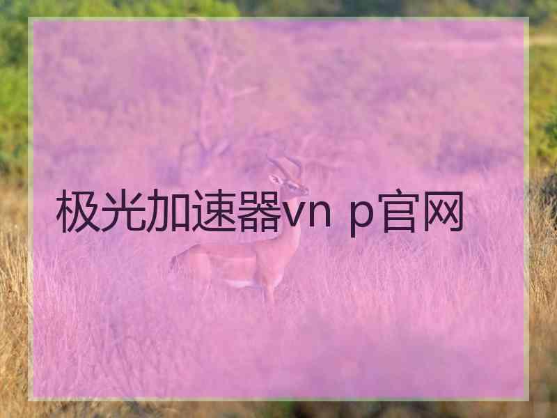 极光加速器vn p官网
