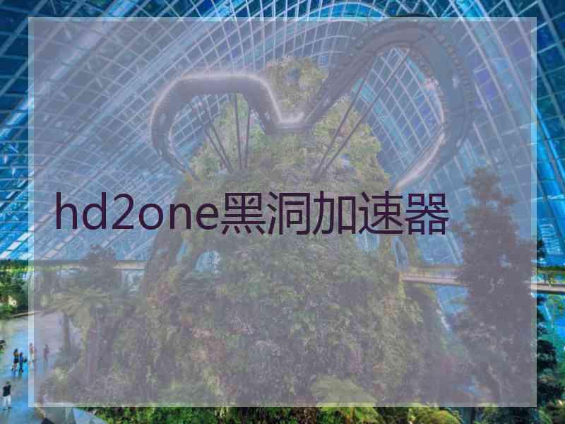 hd2one黑洞加速器