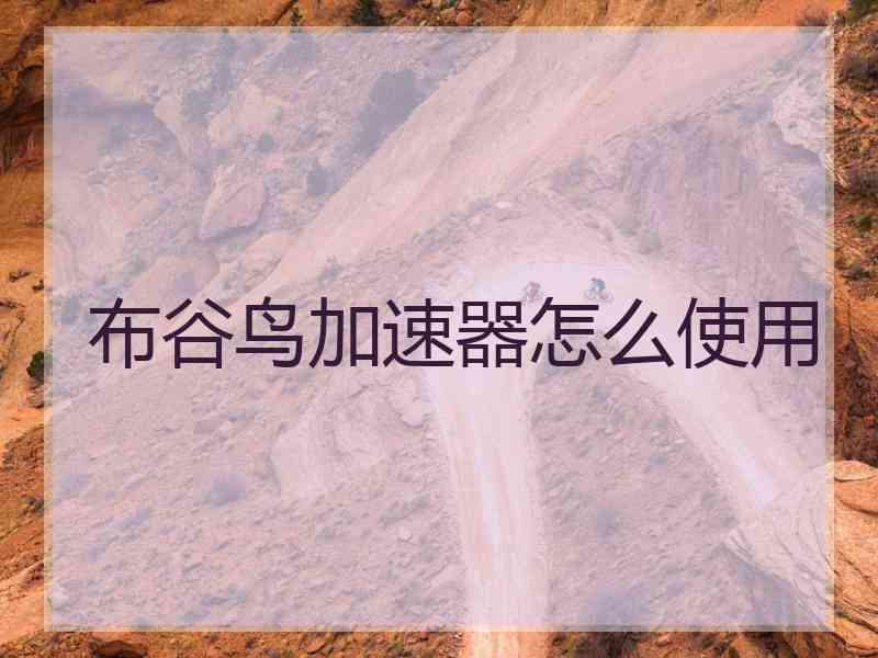 布谷鸟加速器怎么使用